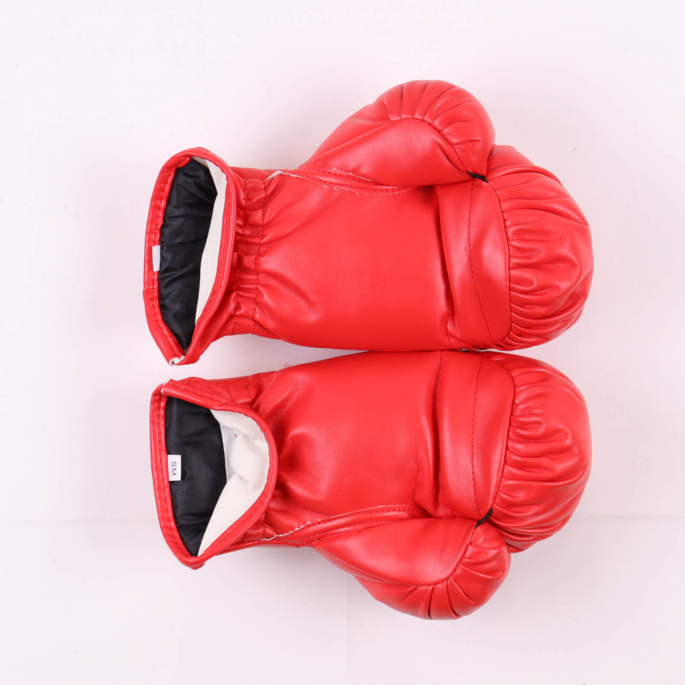 Mike Tyson Signed Everlast Boxing Glove Set with Display Case (Tyson