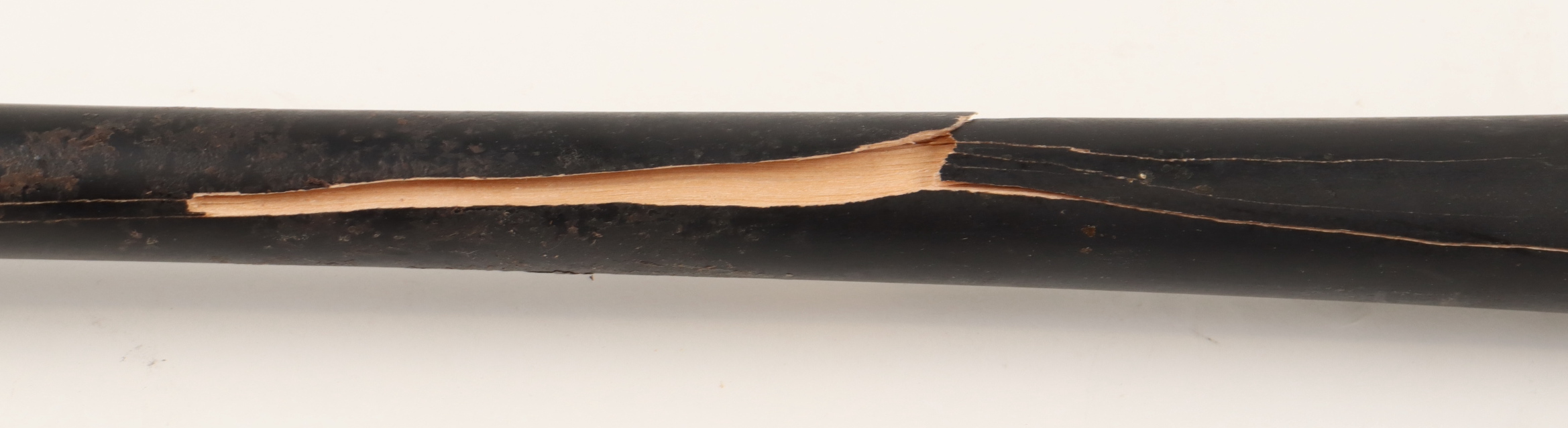 Cam Collier Signed DTB Baseball Bat (JSA) at PristineAuction.com Cam Collier Signed DTB Baseball Bat (JSA) at PristineAuction.com