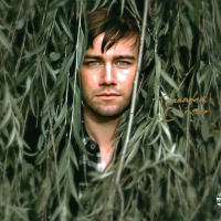 Torrance Coombs Signed "Reign" 8x10 Photo (Wizard World) at PristineAuction.com