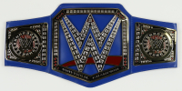 Braun Strowman WWE Universal Championship Belt (JSA) at PristineAuction.com