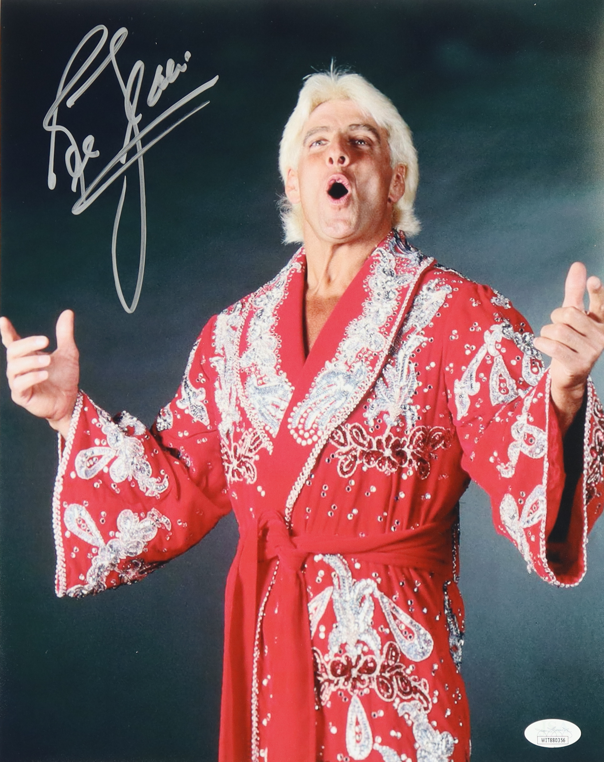 Ric Flair Signed WWE 11x14 Photo (JSA) at PristineAuction.com Ric Flair Signed WWE 11x14 Photo (JSA) at PristineAuction.com
