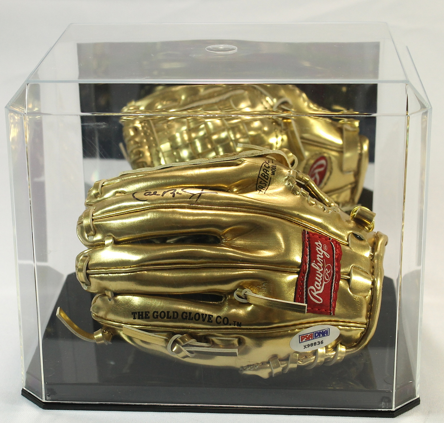 Cal Ripken Jr. Signed Rawlings Gold Glove Mini-Baseball Glove with Display Case (PSA COA) at PristineAuction.com Cal Ripken Jr. Signed Rawlings Gold Glove Mini-Baseball Glove with Display Case (PSA COA) at PristineAuction.com