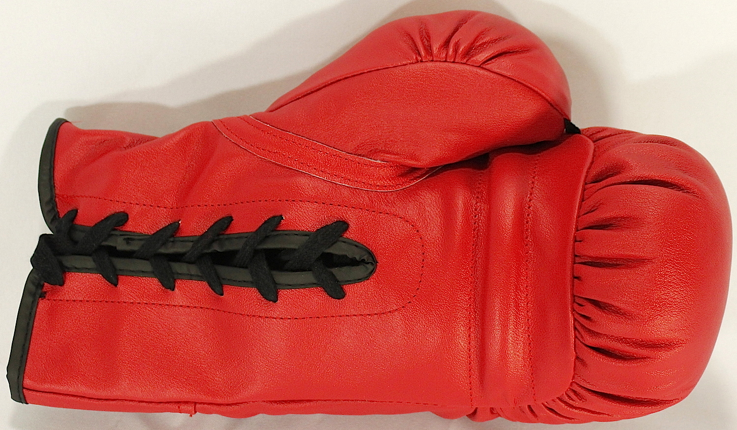 Miguel Cotto Leonard Signed Everlast Boxing Glove with Display Case (JSA COA) at PristineAuction.com Miguel Cotto Leonard Signed Everlast Boxing Glove with Display Case (JSA COA) at PristineAuction.com