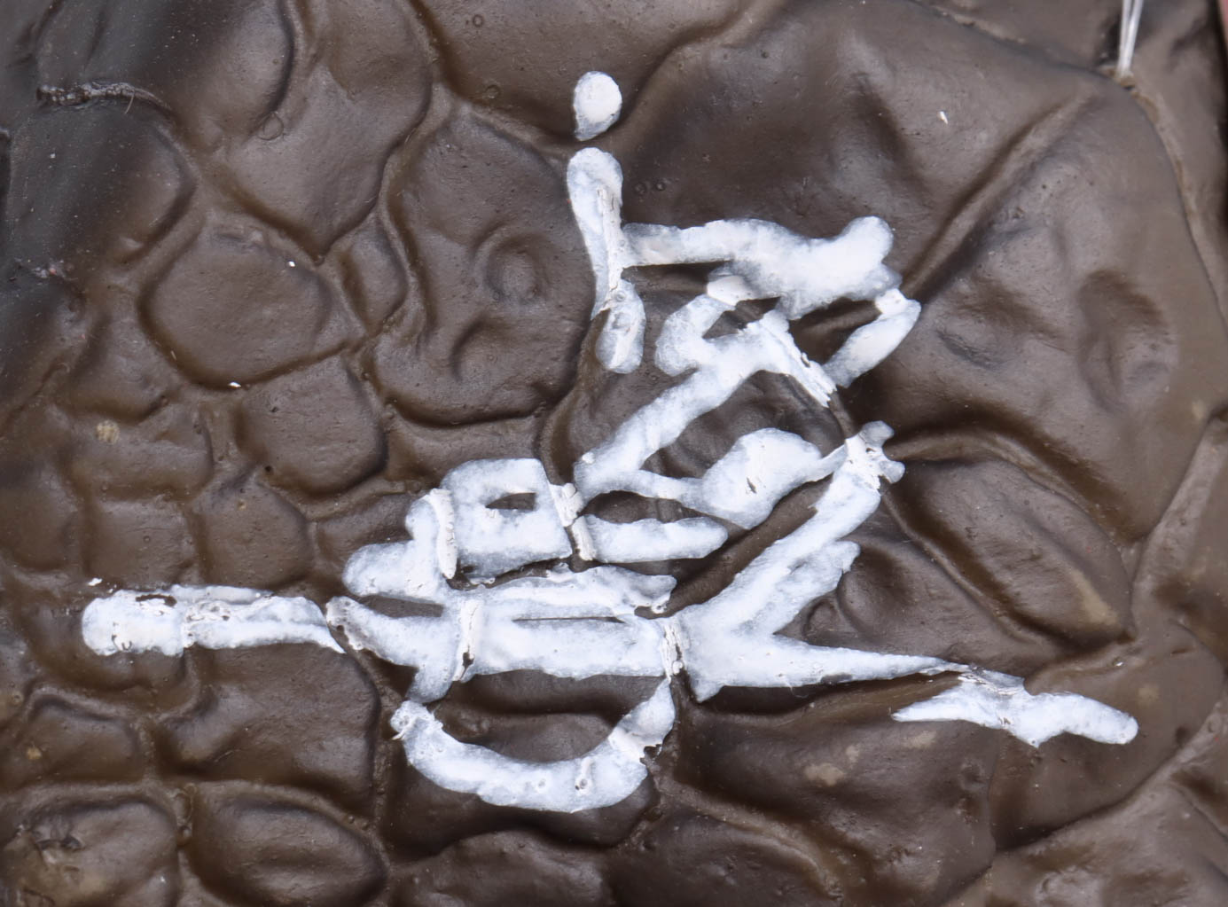 Motokuni Nakagawa & Tsutomu Kitagawa Signed "Godzilla" Mask (JSA) at PristineAuction.com Motokuni Nakagawa & Tsutomu Kitagawa Signed "Godzilla" Mask (JSA) at PristineAuction.com