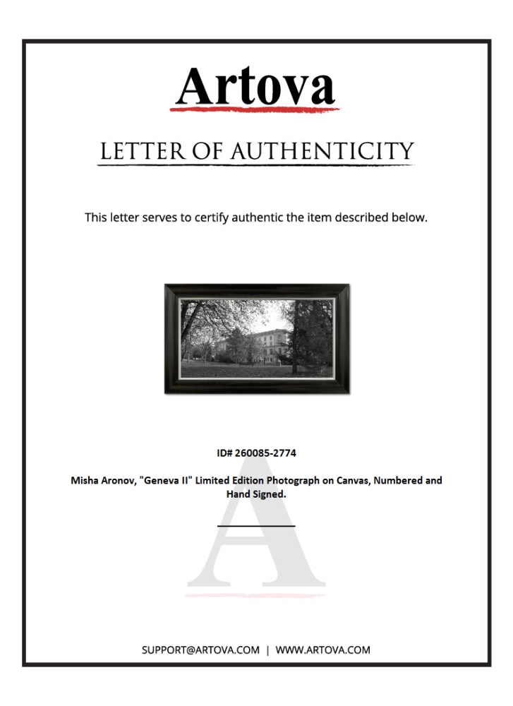 "Untitled" LE 43x26 Custom Framed Giclee on Canvas by Misha Aronov (Artova) at PristineAuction.com "Untitled" LE 43x26 Custom Framed Giclee on Canvas by Misha Aronov (Artova) at PristineAuction.com