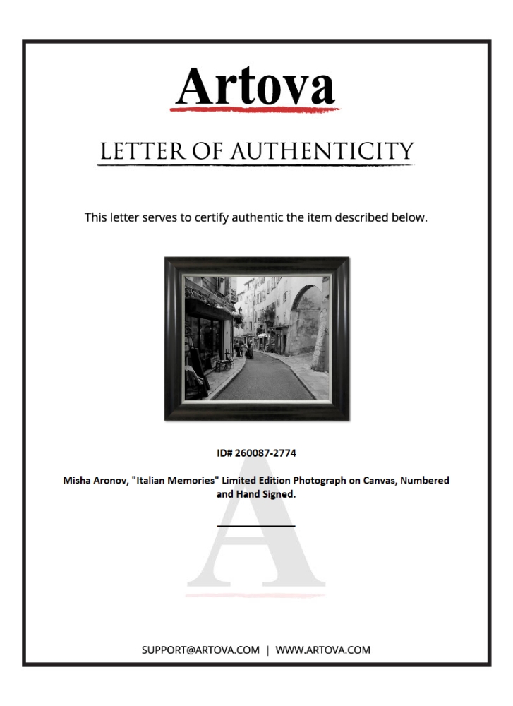 "Untitled" LE 35x31 Custom Framed Giclee on Canvas by Misha Aronov (Artova) at PristineAuction.com "Untitled" LE 35x31 Custom Framed Giclee on Canvas by Misha Aronov (Artova) at PristineAuction.com