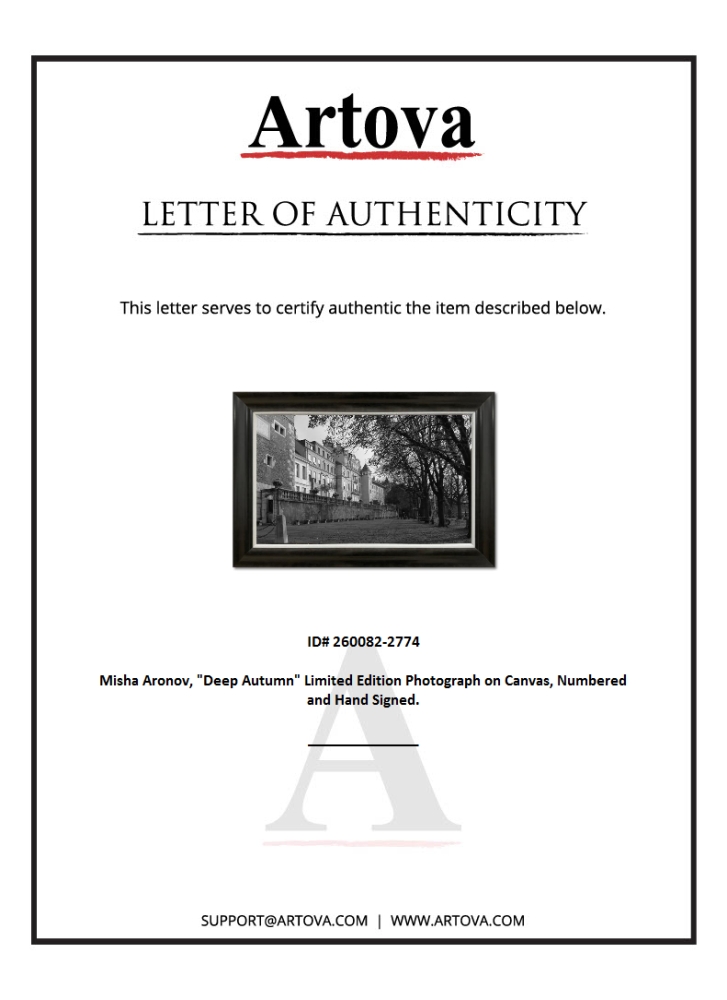 "Untitled" LE 43x31 Custom Framed Giclee on Canvas by Misha Aronov (Artova) at PristineAuction.com "Untitled" LE 43x31 Custom Framed Giclee on Canvas by Misha Aronov (Artova) at PristineAuction.com