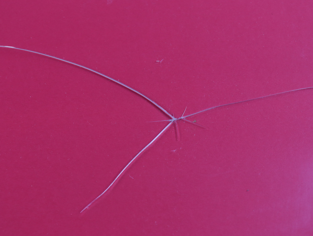 Mike Tyson Signed Custom Framed Ringside Boxing Trunks (PSA) (See Description) at PristineAuction.com Mike Tyson Signed Custom Framed Ringside Boxing Trunks (PSA) (See Description) at PristineAuction.com