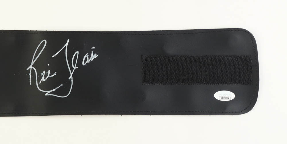 Ric Flair Signed WWE Championship Belt (JSA) at PristineAuction.com Ric Flair Signed WWE Championship Belt (JSA) at PristineAuction.com