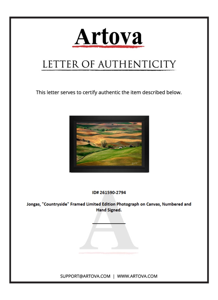 "Countryside" LE 28x38 Custom Framed Giclee on Canvas by Jongas (Artova) at PristineAuction.com "Countryside" LE 28x38 Custom Framed Giclee on Canvas by Jongas (Artova) at PristineAuction.com
