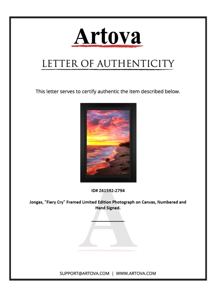 "Fiery Cry" LE 38x28 Custom Framed Giclee on Canvas by Jongas (Artova) at PristineAuction.com "Fiery Cry" LE 38x28 Custom Framed Giclee on Canvas by Jongas (Artova) at PristineAuction.com