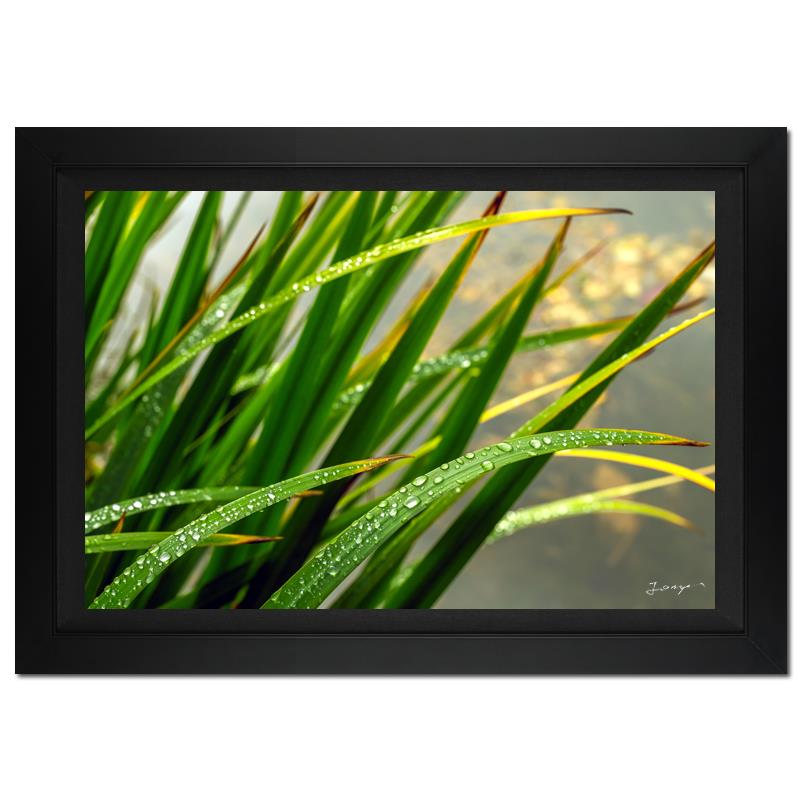 "Morning Splash" LE 28x38 Custom Framed Giclee on Canvas by Jongas (Artova) at PristineAuction.com "Morning Splash" LE 28x38 Custom Framed Giclee on Canvas by Jongas (Artova) at PristineAuction.com