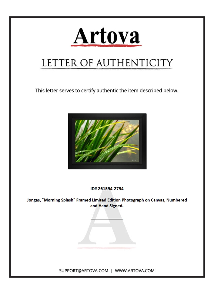 "Morning Splash" LE 28x38 Custom Framed Giclee on Canvas by Jongas (Artova) at PristineAuction.com "Morning Splash" LE 28x38 Custom Framed Giclee on Canvas by Jongas (Artova) at PristineAuction.com