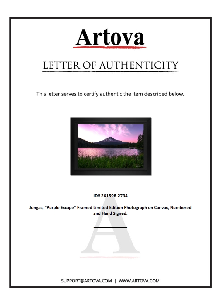 "Purple Escape" LE 28x38 Custom Framed Giclee on Canvas by Jongas (Artova) at PristineAuction.com "Purple Escape" LE 28x38 Custom Framed Giclee on Canvas by Jongas (Artova) at PristineAuction.com