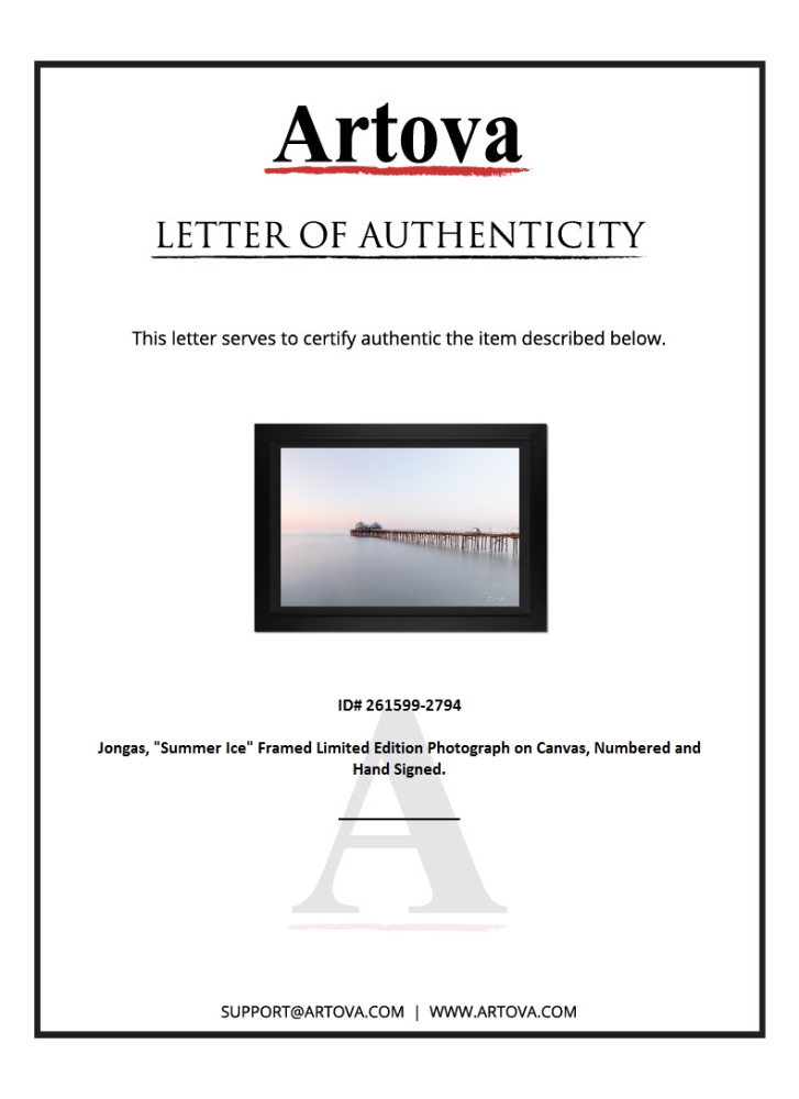 "Summer Ice" LE 28x38 Custom Framed Giclee on Canvas by Jongas (Artova) at PristineAuction.com "Summer Ice" LE 28x38 Custom Framed Giclee on Canvas by Jongas (Artova) at PristineAuction.com