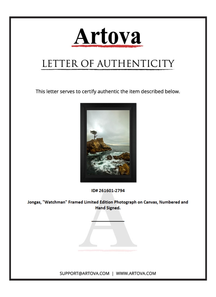 "Watchman" LE 38x28 Custom Framed Giclee on Canvas by Jongas (Artova) at PristineAuction.com "Watchman" LE 38x28 Custom Framed Giclee on Canvas by Jongas (Artova) at PristineAuction.com