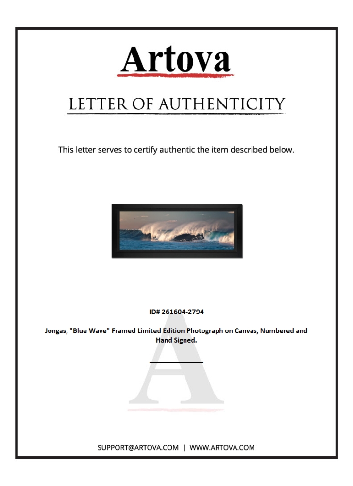 "Blue Wave" LE 20x44 Custom Framed Giclee on Canvas by Jongas (Artova) at PristineAuction.com "Blue Wave" LE 20x44 Custom Framed Giclee on Canvas by Jongas (Artova) at PristineAuction.com