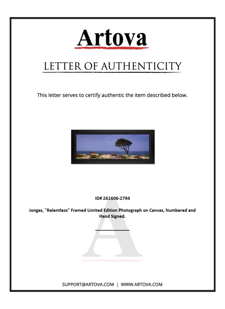 "Relentless" LE 20x44 Custom Framed Giclee on Canvas by Jongas (Artova) at PristineAuction.com "Relentless" LE 20x44 Custom Framed Giclee on Canvas by Jongas (Artova) at PristineAuction.com