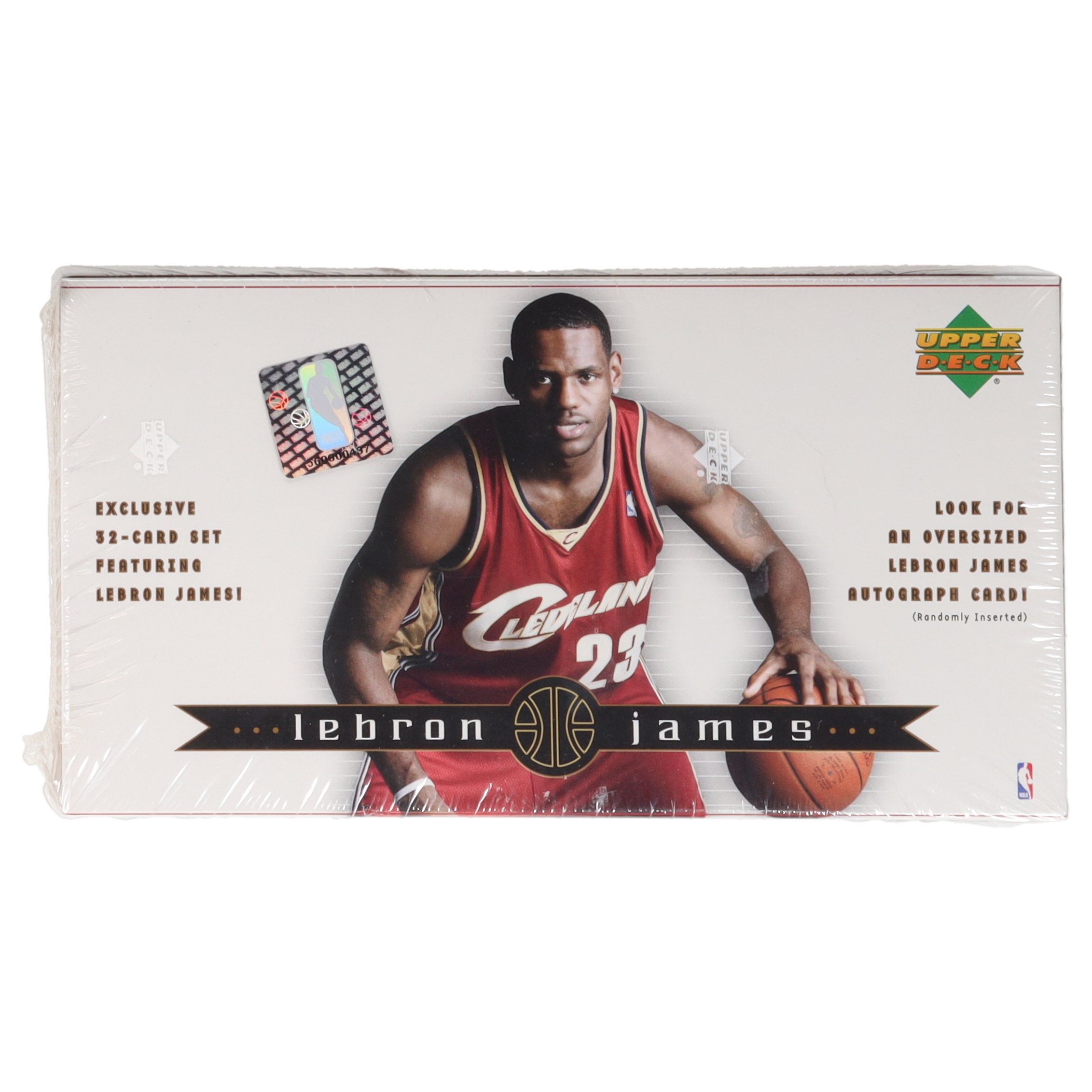 lebron james basketball set