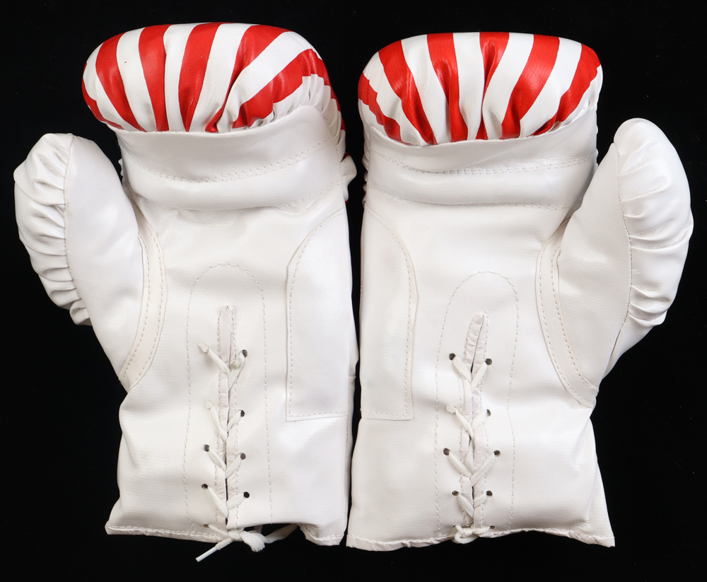 Mike Tyson & Michael Spinks Signed Pair of USA Defender Boxing Gloves Inscribed "Jinx" (JSA, Tyson & PSA) at PristineAuction.com Mike Tyson & Michael Spinks Signed Pair of USA Defender Boxing Gloves Inscribed "Jinx" (JSA, Tyson & PSA) at PristineAuction.com