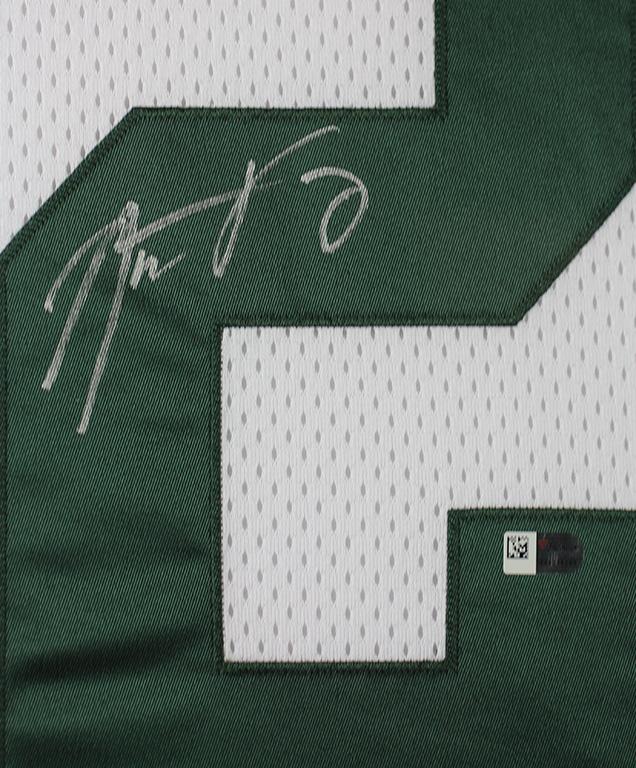 Aaron Rodgers Signed 35x43 Custom Framed Jersey Display (Fanatics) at PristineAuction.com Aaron Rodgers Signed 35x43 Custom Framed Jersey Display (Fanatics) at PristineAuction.com