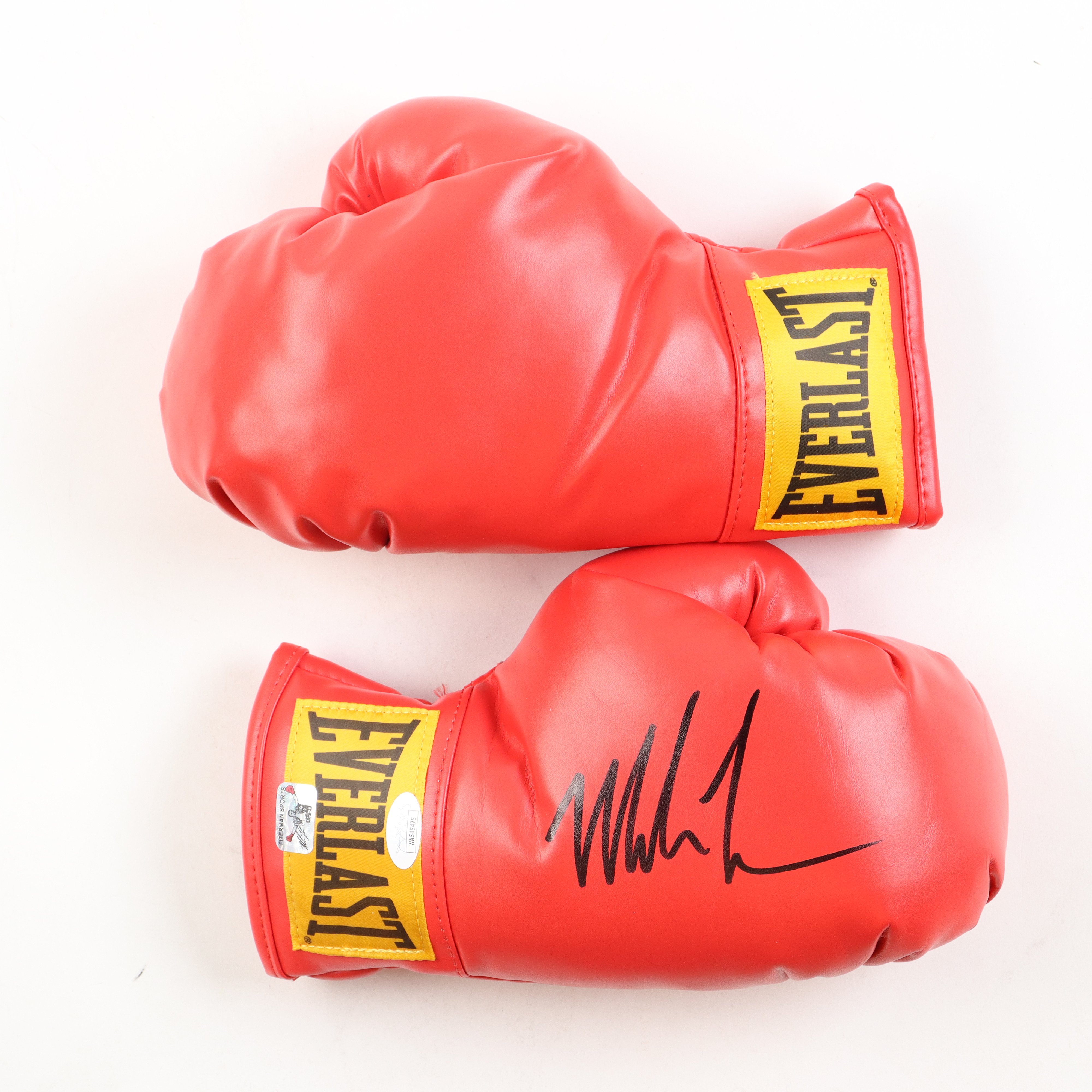 Mike Tyson Signed Everlast Boxing Glove Set with Display Case (JSA & Tyson) at PristineAuction.com Mike Tyson Signed Everlast Boxing Glove Set with Display Case (JSA & Tyson) at PristineAuction.com
