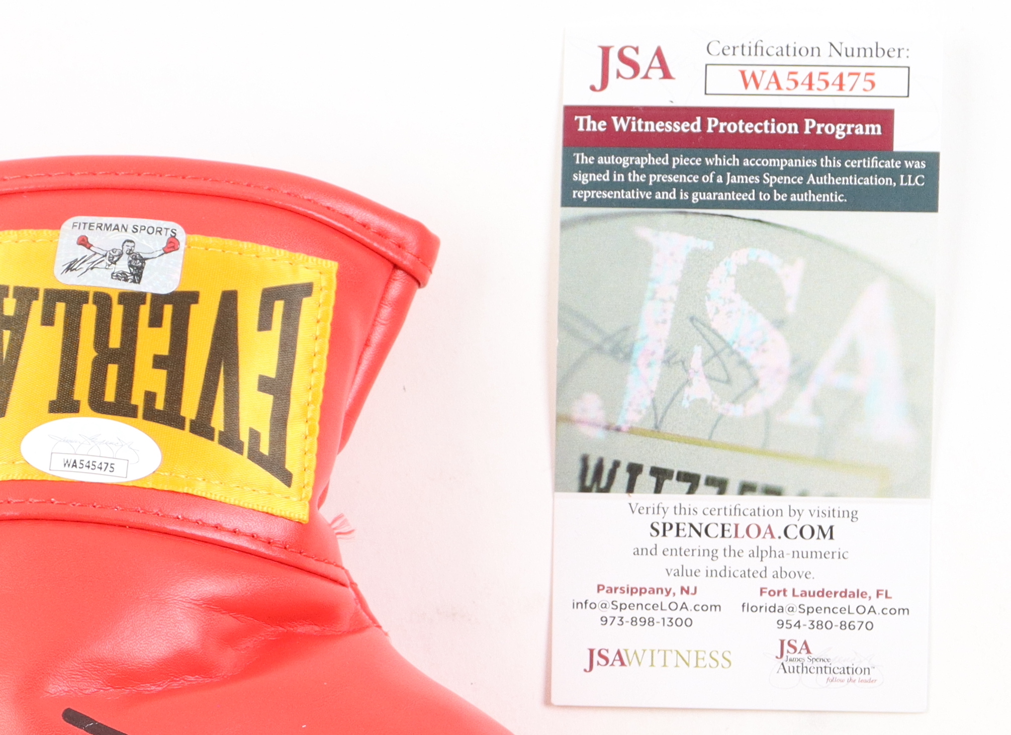 Mike Tyson Signed Everlast Boxing Glove Set with Display Case (JSA & Tyson) at PristineAuction.com Mike Tyson Signed Everlast Boxing Glove Set with Display Case (JSA & Tyson) at PristineAuction.com