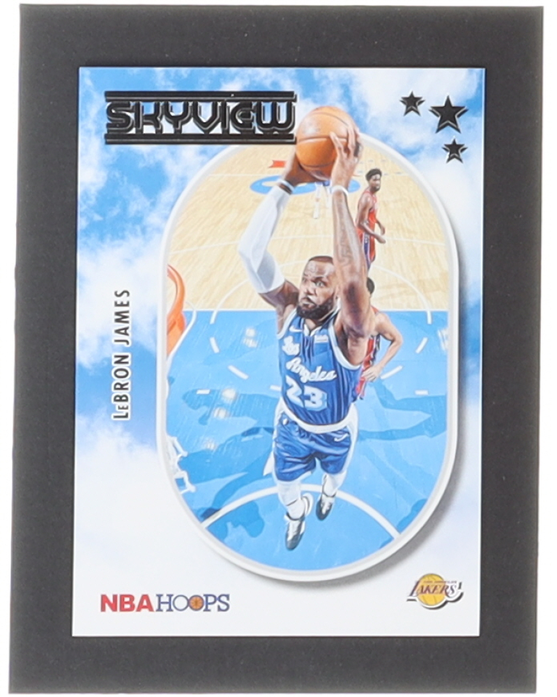 skyview lebron james