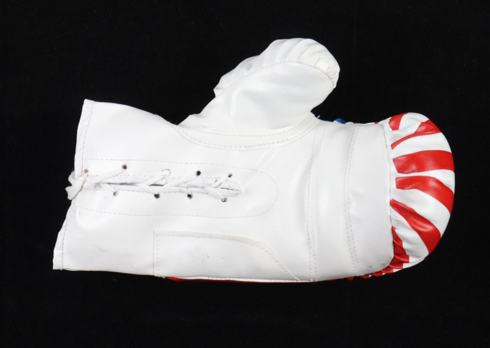 Mike Tyson Signed Last Punch Boxing Glove Set with Everlast Wraps and