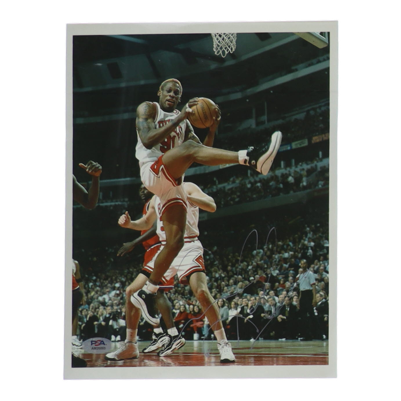 Dennis Rodman Signed Bulls 8x11 Photo (PSA) at PristineAuction.com Dennis Rodman Signed Bulls 8x11 Photo (PSA) at PristineAuction.com