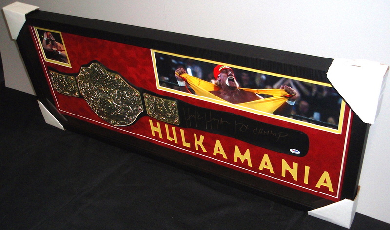 Hulk Hogan Signed 15x39 Shadowbox WWE Championship Belt Display Inscribed "12x Champ" (PSA COA) at PristineAuction.com Hulk Hogan Signed 15x39 Shadowbox WWE Championship Belt Display Inscribed "12x Champ" (PSA COA) at PristineAuction.com