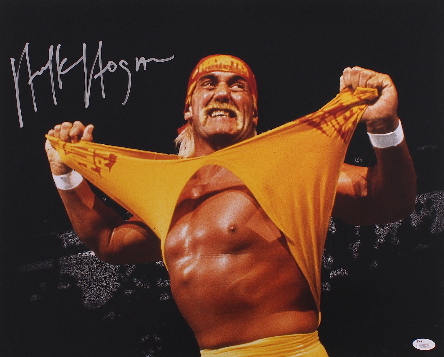 Hulk Hogan Signed WWF 16x20 Photo (JSA COA) at PristineAuction.com Hulk Hogan Signed WWF 16x20 Photo (JSA COA) at PristineAuction.com