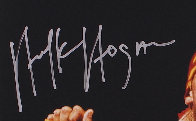 Hulk Hogan Signed WWF 16x20 Photo (JSA COA) at PristineAuction.com Hulk Hogan Signed WWF 16x20 Photo (JSA COA) at PristineAuction.com