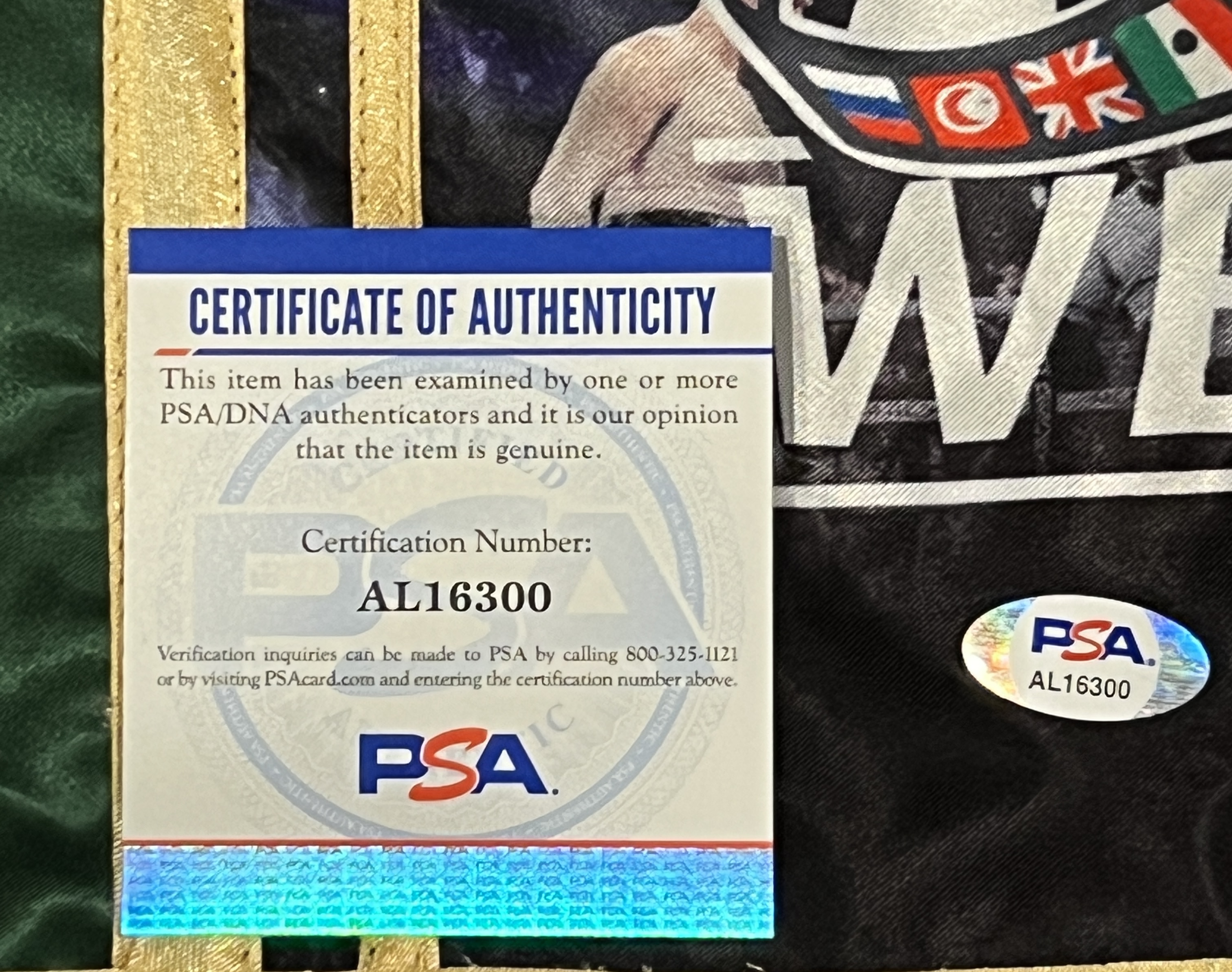 Tyson Fury Signed WBC "Gypsy King" Boxing Trunks (PSA) at PristineAuction.com Tyson Fury Signed WBC "Gypsy King" Boxing Trunks (PSA) at PristineAuction.com