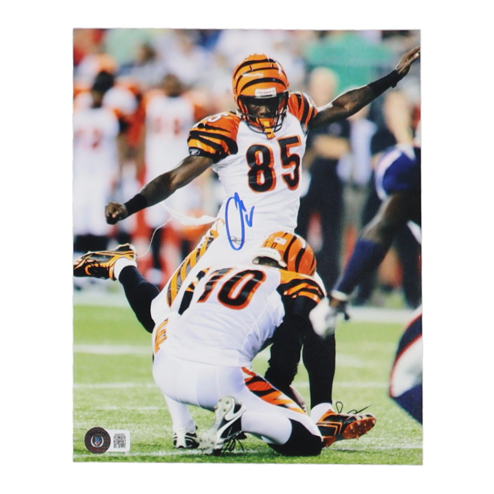 Chad Johnson Signed Bengals 8x10 Photo (Beckett) Pristine Auction