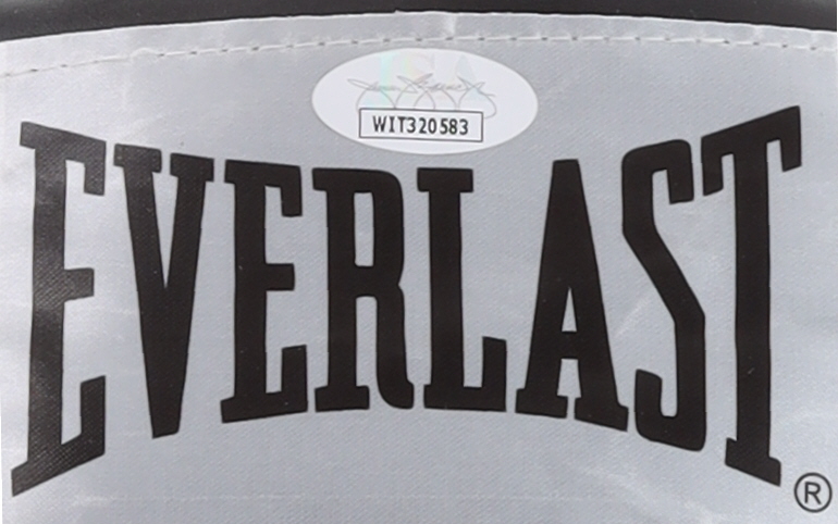 Anthony Joshua Signed Everlast Boxing Glove (JSA) at PristineAuction.com Anthony Joshua Signed Everlast Boxing Glove (JSA) at PristineAuction.com