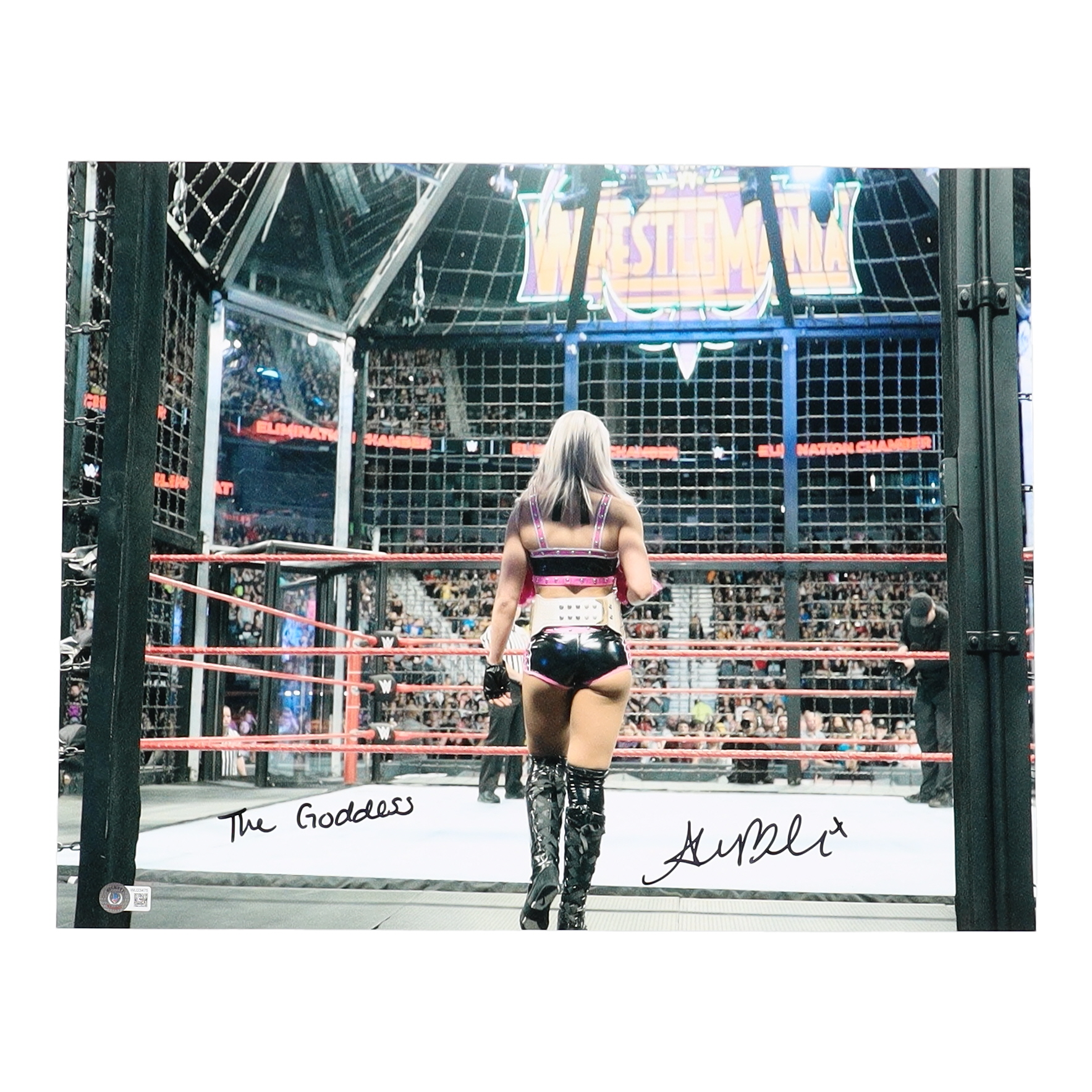 Alexa Bliss Signed WWE 16x20 Photo Inscribed "The Goddess" (Beckett) at PristineAuction.com Alexa Bliss Signed WWE 16x20 Photo Inscribed "The Goddess" (Beckett) at PristineAuction.com