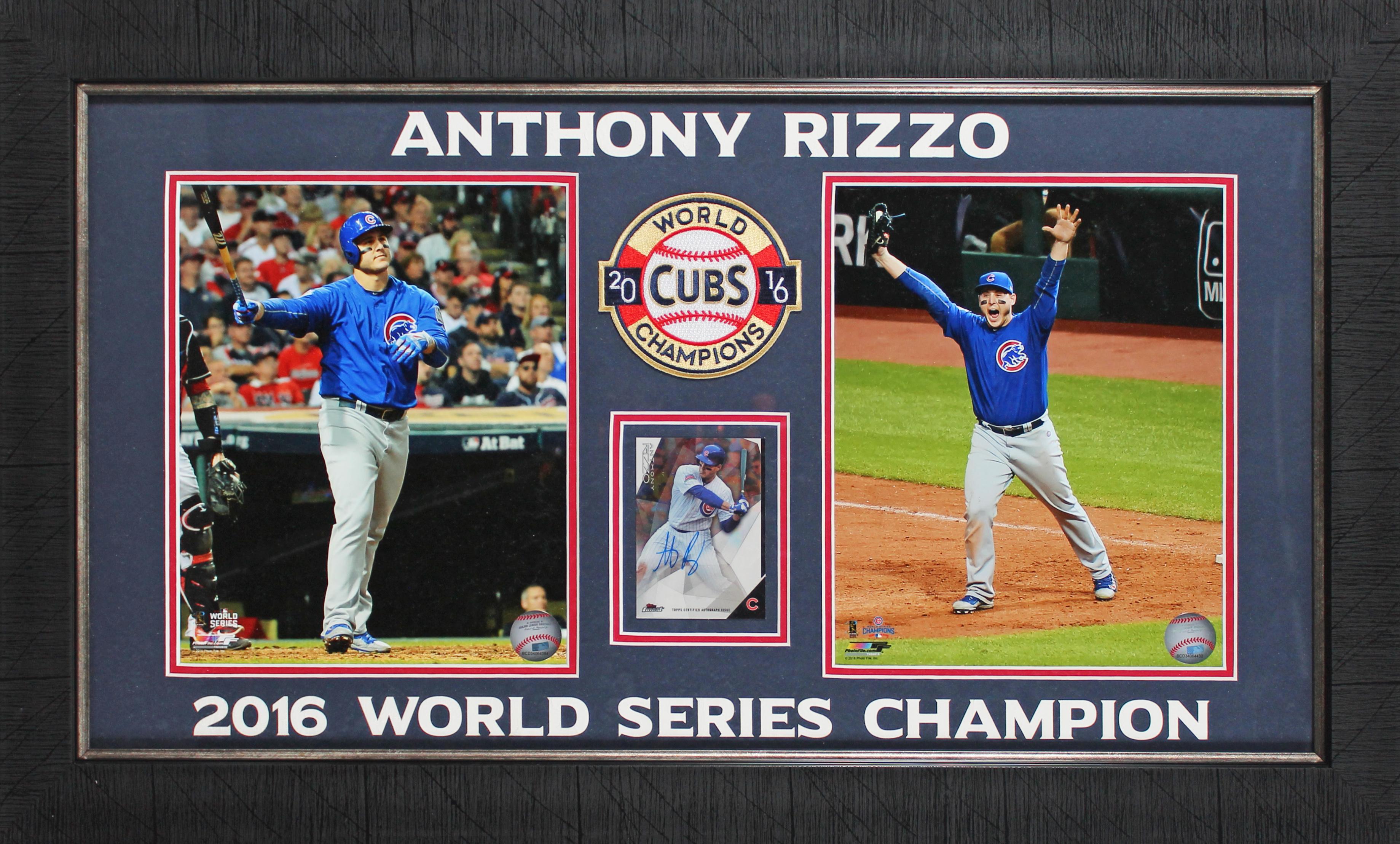 Anthony Rizzo Signed 18x28 Framed Card Display | Pristine Auction