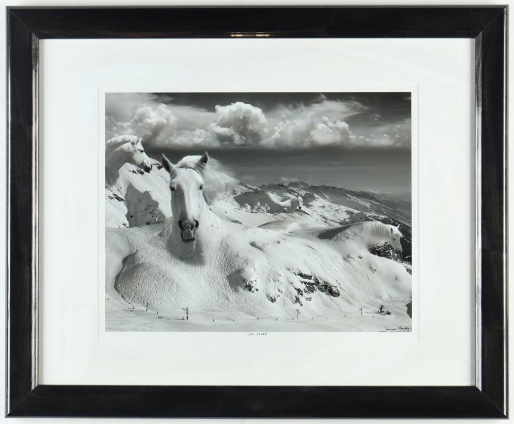Thomas Barbey "Icy Studs" Custom Framed Art Print at PristineAuction.com Thomas Barbey "Icy Studs" Custom Framed Art Print at PristineAuction.com