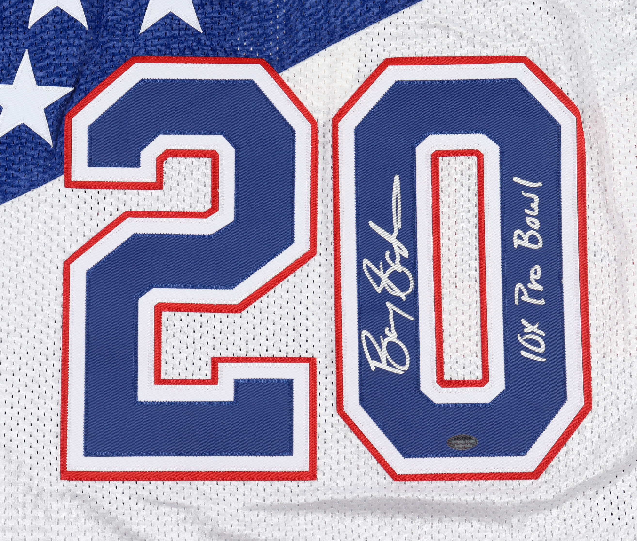 Barry Sanders Signed Pro Bowl Jersey Inscribed "10x Pro Bowl" (Schwartz) at PristineAuction.com Barry Sanders Signed Pro Bowl Jersey Inscribed "10x Pro Bowl" (Schwartz) at PristineAuction.com