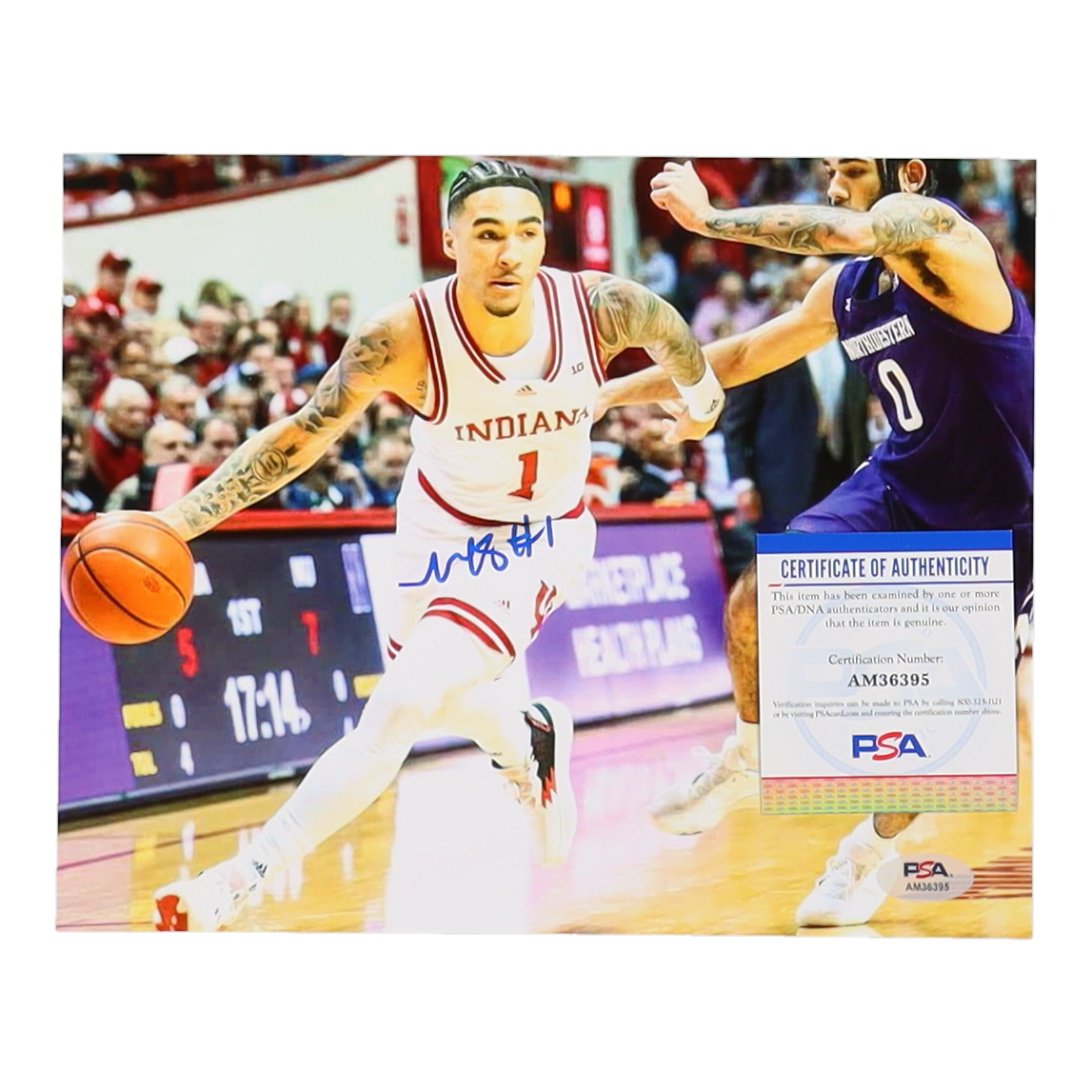 Jalen Hood-Schifino Signed Indiana Hoosiers 8x10 Photo (PSA) at PristineAuction.com Jalen Hood-Schifino Signed Indiana Hoosiers 8x10 Photo (PSA) at PristineAuction.com