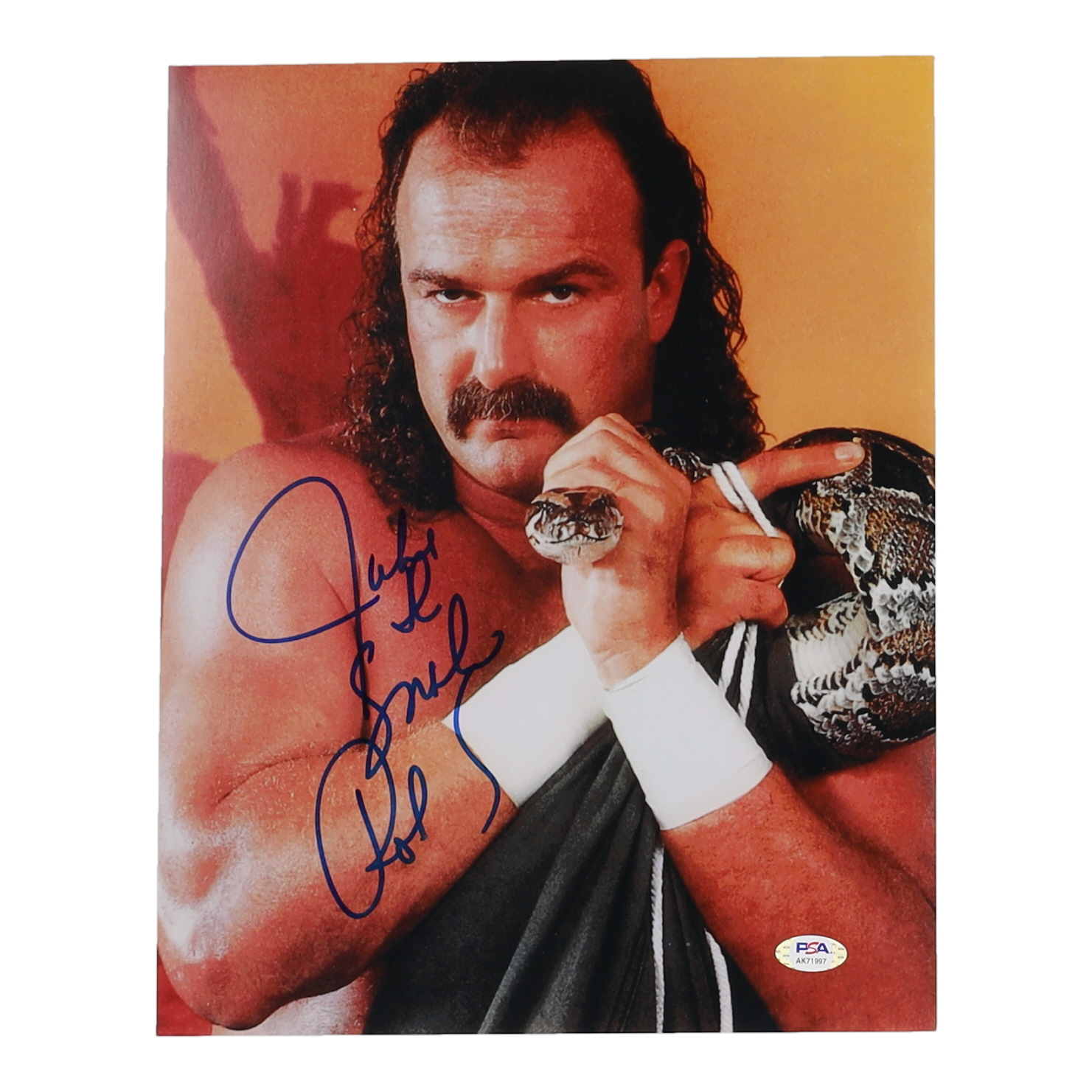Jake "Jake the Snake" Roberts Signed 11x14 Photo (PSA) at PristineAuction.com Jake "Jake the Snake" Roberts Signed 11x14 Photo (PSA) at PristineAuction.com
