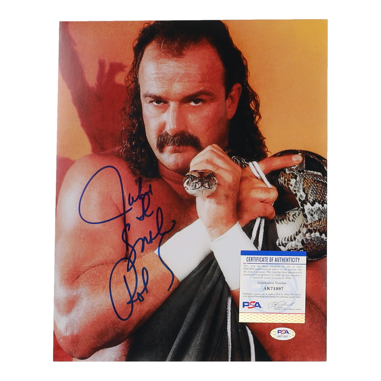 Jake "Jake the Snake" Roberts Signed 11x14 Photo (PSA) at PristineAuction.com Jake "Jake the Snake" Roberts Signed 11x14 Photo (PSA) at PristineAuction.com