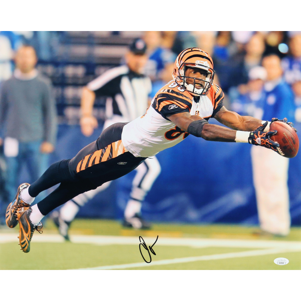 Chad Ochocinco Johnson Signed Bengals 16x20 Photo JSA Pristine chad-ochocinco-johnson-signed-bengals-16x20-photo-jsa-pristine