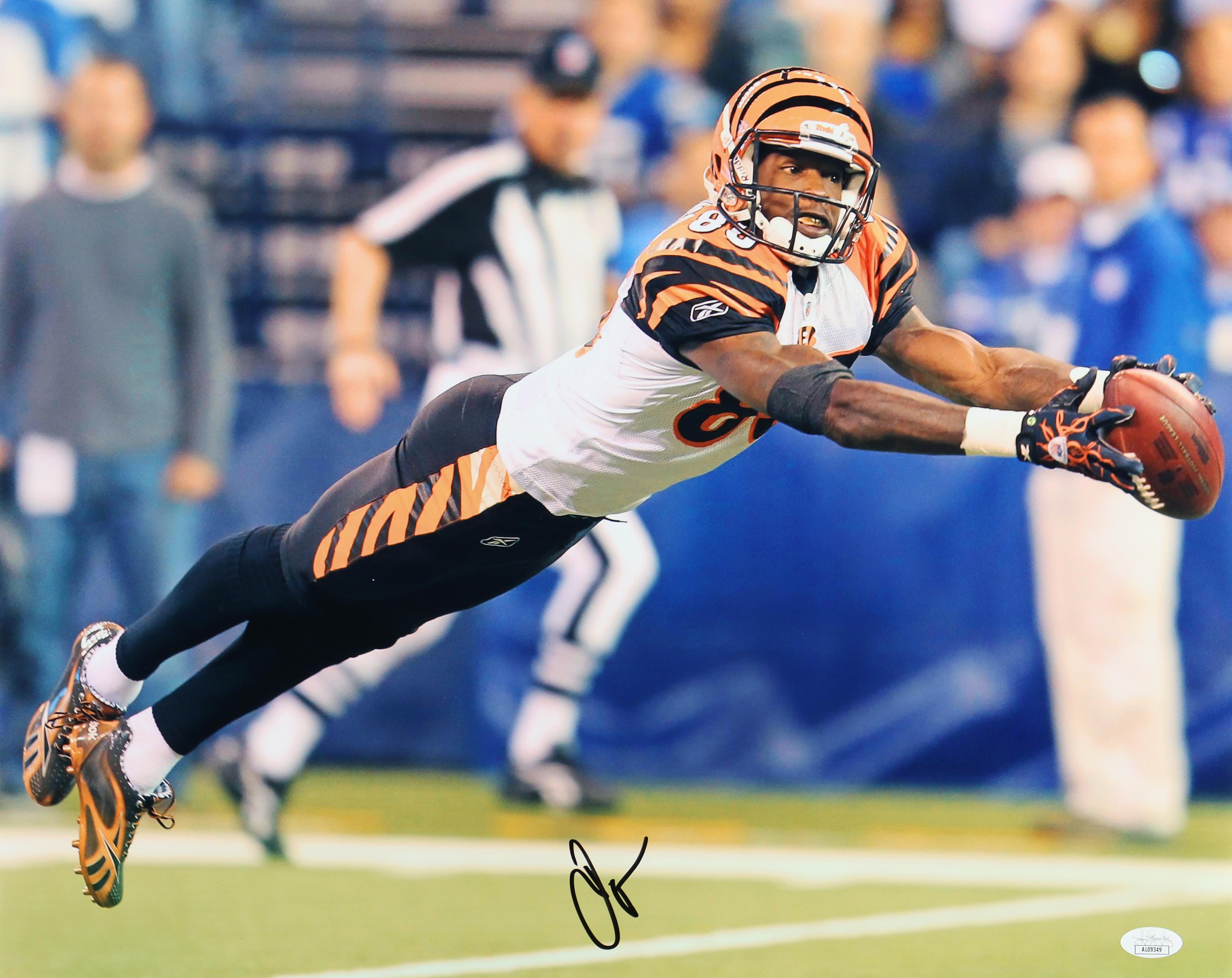 Chad 'Ochocinco' Johnson Signed Bengals 16x20 Photo (JSA) at PristineAuction.com Chad 'Ochocinco' Johnson Signed Bengals 16x20 Photo (JSA) at PristineAuction.com