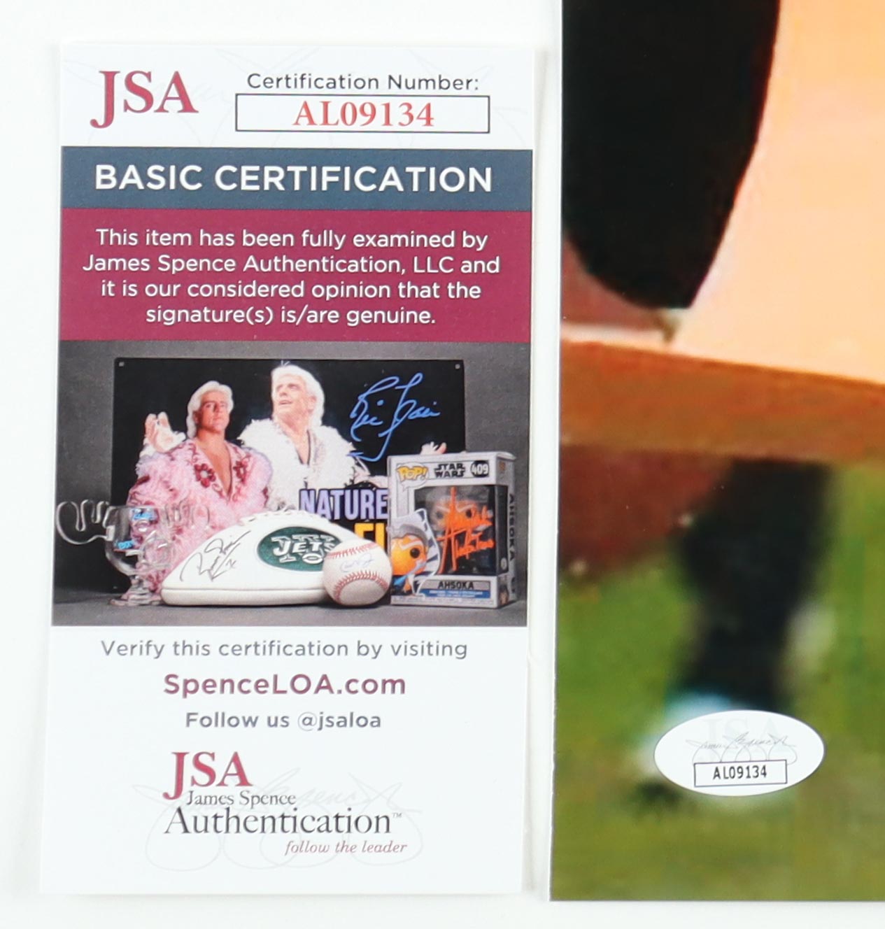 Chad 'Ochocinco' Johnson Signed Bengals 16x20 Photo (JSA) at PristineAuction.com Chad 'Ochocinco' Johnson Signed Bengals 16x20 Photo (JSA) at PristineAuction.com