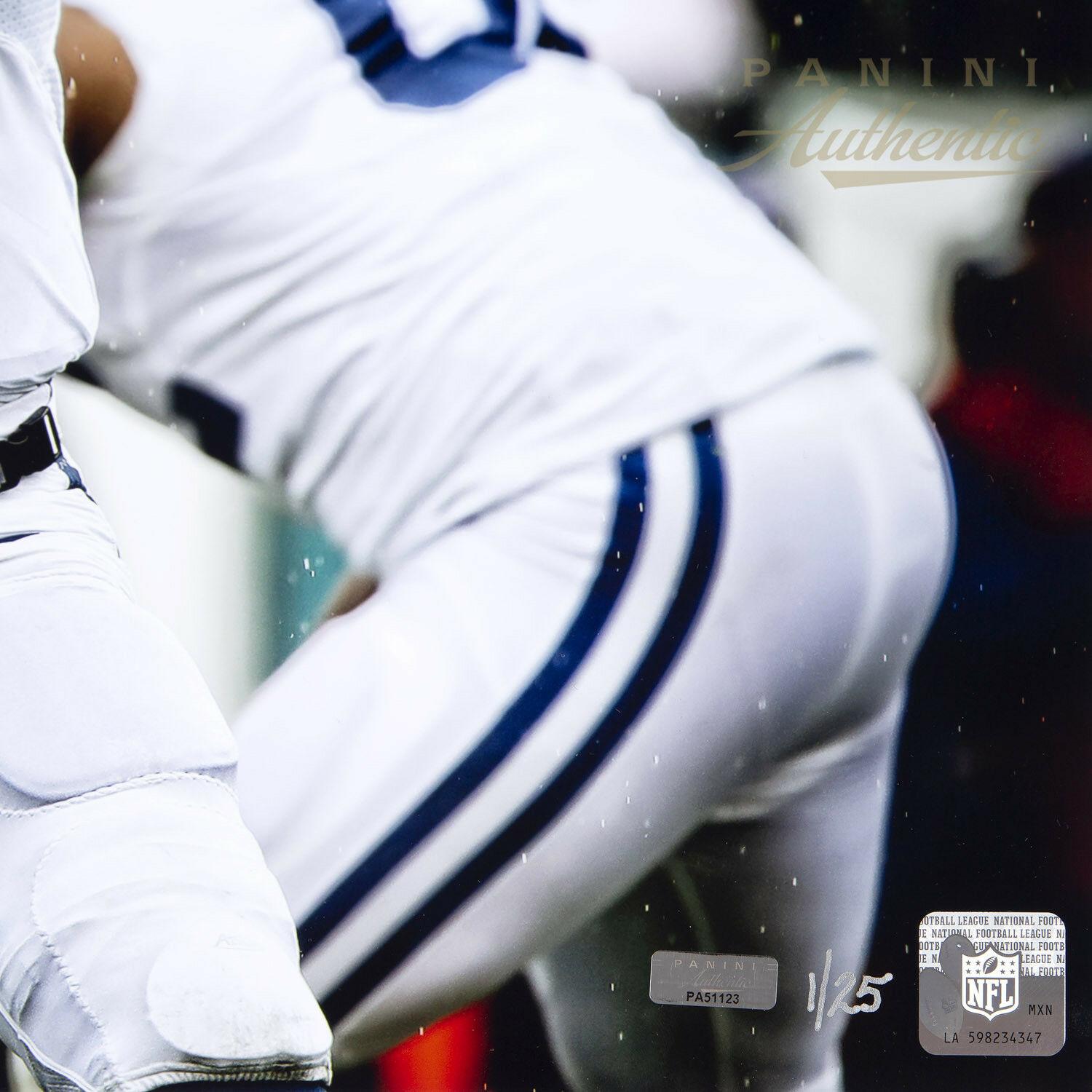 Andrew Luck Signed Colts LE 16x20 Photo (Panini) at PristineAuction.com Andrew Luck Signed Colts LE 16x20 Photo (Panini) at PristineAuction.com