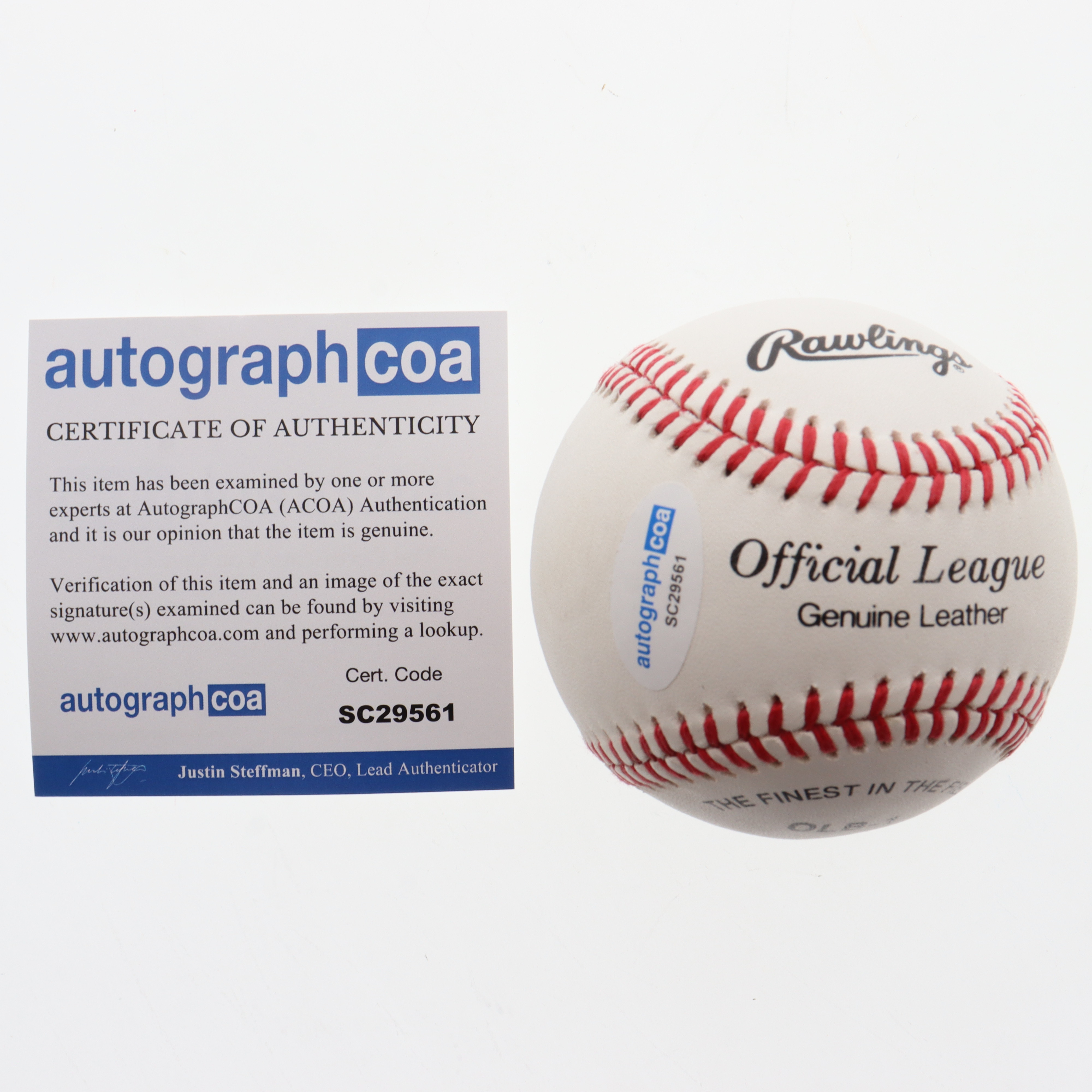 Al Gore Signed OL Baseball (AutographCOA) at PristineAuction.com Al Gore Signed OL Baseball (AutographCOA) at PristineAuction.com