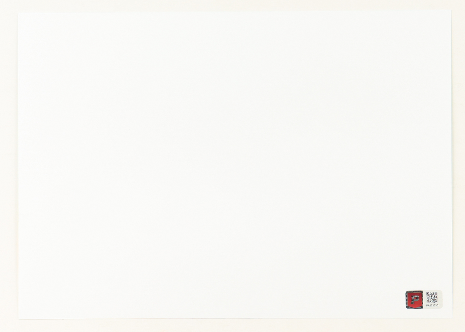 "Rocket & Groot" Guardians of the Galaxy Vol. 2 LE 8x12 Art Print by Thang Nguyen #/50 (PA) at PristineAuction.com "Rocket & Groot" Guardians of the Galaxy Vol. 2 LE 8x12 Art Print by Thang Nguyen #/50 (PA) at PristineAuction.com