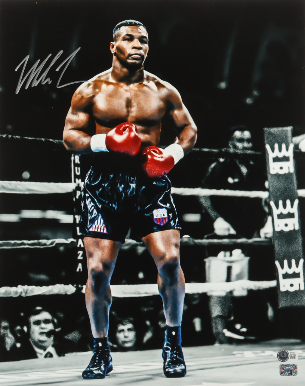Mike Tyson Signed 16x20 Photo (Beckett & Tyson) at PristineAuction.com Mike Tyson Signed 16x20 Photo (Beckett & Tyson) at PristineAuction.com